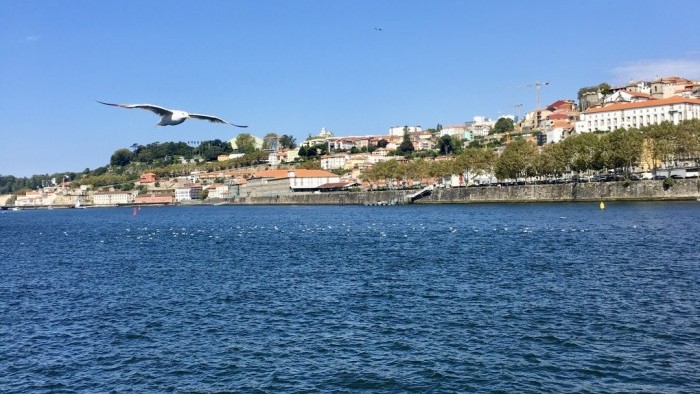 SPECIAL OFFER - Cruise Porto Régua Porto (Upstream)
