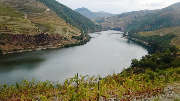 Douro Valley Wine Tour - Full Day